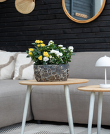 En grå soffa med beiga kuddar står bakom ett sidobord i trä med Artificiell växt Mini Rose UV 35 cm gul; en liten vit lampa sitter på ett mindre bord, med väggspeglar och dekor i bakgrunden.