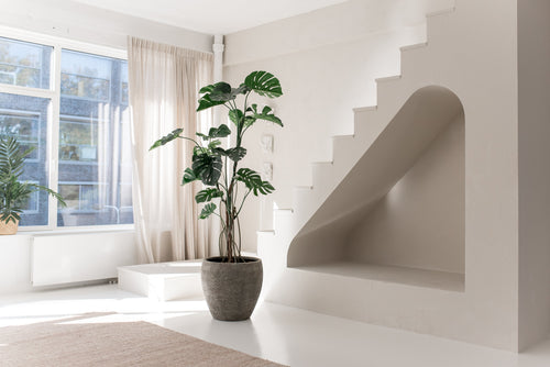 Minimalistiskt soldränkt rum med stora fönster, en konstgjord växt Monstera 210 cm, beige matta, unik vit trappa med en välvd nisch under. Ljusa gardiner och en växt på fönsterbrädan fullbordar det fridfulla utrymmet.