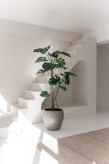 Den konstgjorda växten Monstera 210 cm står i en minimal, soldränkt inredning med vita väggar, moderna linjer, en trappa och en beige matta. Mjukt naturligt ljus framhäver rummets eleganta design.
