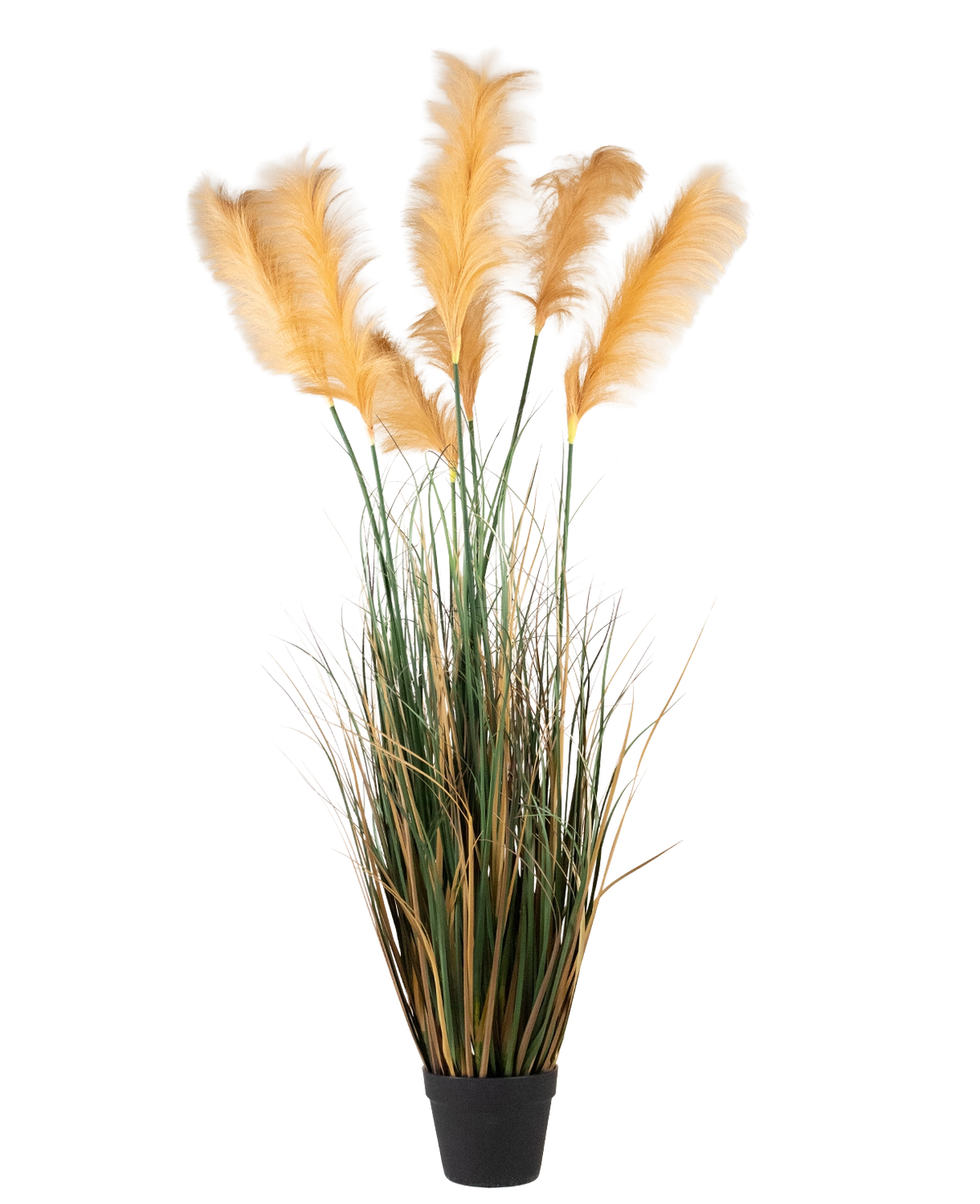 En svart kruka innehåller Artificiellt Pampas Grass 150 cm brandskyddsmedel, med högt grönt konstgräs och gulbruna plymer arrangerade för en naturlig dekorativ look.