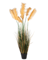 En svart kruka innehåller Artificiellt Pampas Grass 150 cm brandskyddsmedel, med högt grönt konstgräs och gulbruna plymer arrangerade för en naturlig dekorativ look.