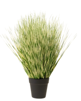 Konstgräsväxten Zebra 55 cm har långa, tunna gröna och vita brokiga gräsliknande blad i en enkel svart kruka, mot en vanlig vit bakgrund.