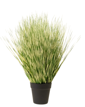 Konstgräsväxten Zebra 55 cm har långa, tunna gröna och vita brokiga gräsliknande blad i en enkel svart kruka, mot en vanlig vit bakgrund.