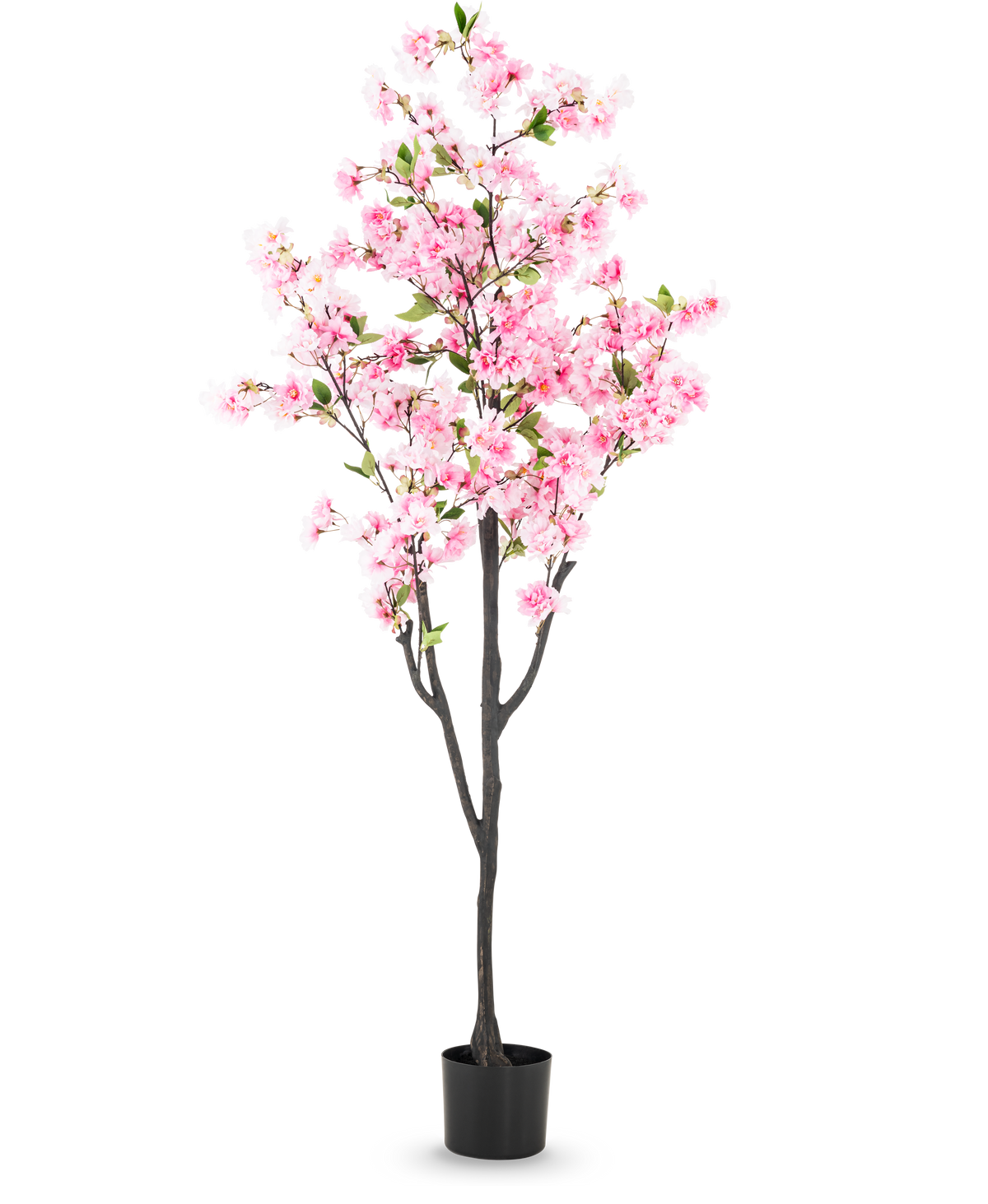 Den konstgjorda körsbärsblomman 180 cm rosa har rosa blommor och gröna blad i en liten svart kruka, mot en vanlig vit bakgrund.