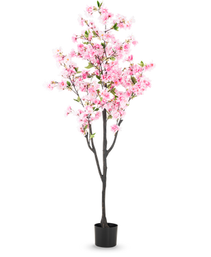 Den konstgjorda körsbärsblomman 180 cm rosa har rosa blommor och gröna blad i en liten svart kruka, mot en vanlig vit bakgrund.