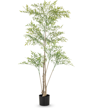 Artificiell Ruscus 150 cm har långa, tunna grenar och ljusgröna blad i en svart kruka mot en vit bakgrund - perfekt som en dekorativ inredning i alla rum.