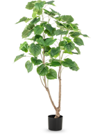 Den konstgjorda växtficusen 150 cm har flera smala bruna stjälkar och stora, breda gröna blad, presenterade i en hög kruka mot en vanlig vit bakgrund.