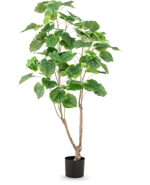 Den konstgjorda växtficusen 150 cm har flera smala bruna stjälkar och stora, breda gröna blad, presenterade i en hög kruka mot en vanlig vit bakgrund.
