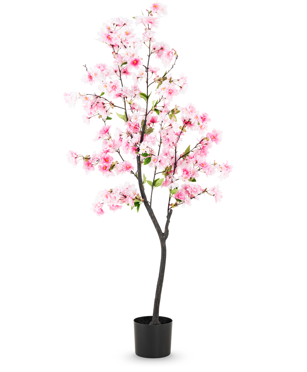 Den konstgjorda körsbärsblomman 150 cm rosa har rosa sidenblommor och gröna blad i en svart kruka, mot en vanlig vit bakgrund.