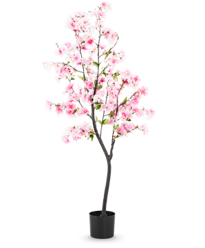 Den konstgjorda körsbärsblomman 150 cm rosa har rosa sidenblommor och gröna blad i en svart kruka, mot en vanlig vit bakgrund.