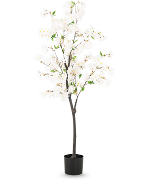 Den konstgjorda körsbärsblomman 150 cm vit är ett högt konstgjort körsbärsträd med fina vita blommor och små gröna blad i en enkel svart kruka, avbildad mot en vanlig ljus bakgrund.