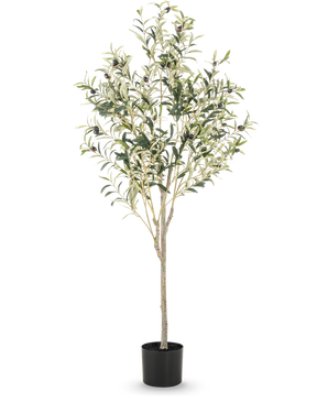 Det konstgjorda olivträdet 150 cm har smala grenar och gröna blad med små svarta oliver i en enkel svart kruka, perfekt för att tillföra en medelhavsatmosfär till alla rum.