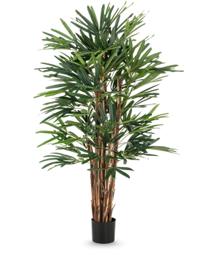 Lady Artificial Palm 150 cm har flera bruna stjälkar och täta, smala gröna blad i en enkel svart kruka. Denna höga krukväxt är idealisk för konstgjorda trädentusiaster och ger frodig grönska mot vilken bakgrund som helst.