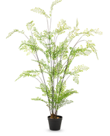 Den 120 cm stora konstgjorda ormbunken har långa, smala stjälkar och små fina gröna blad, som är elegant arrangerade i en kruka mot en vanlig vit bakgrund - en idealisk lättskött krukväxt för din inredning.