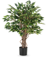 Den konstgjorda växten Ficus Liana 90 cm har tvinnade bruna stammar och täta gröna blad i en svart kruka, perfekt som kontorsväxt eller för vilken ficussamling som helst, avbildad mot en vit bakgrund.