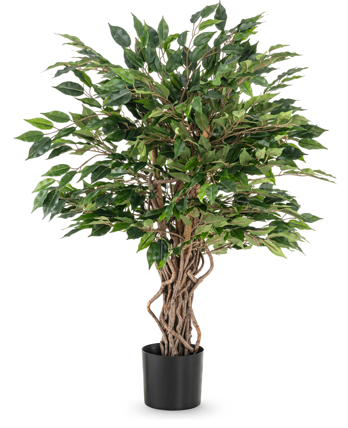Den konstgjorda växten Ficus Liana 90 cm har tvinnade bruna stammar och täta gröna blad i en svart kruka, perfekt som kontorsväxt eller för vilken ficussamling som helst, avbildad mot en vit bakgrund.