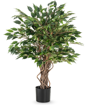 Den konstgjorda växten Ficus Liana 90 cm har tvinnade bruna stammar och täta gröna blad i en svart kruka, perfekt som kontorsväxt eller för vilken ficussamling som helst, avbildad mot en vit bakgrund.