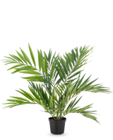 Artificiell palmsalong UV 60 cm har långa, smala blad på flera stjälkar i en enkel svart kruka, mot en vit bakgrund - en snygg konstgjord palm som framhäver alla rum.
