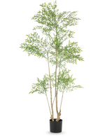 Den konstgjorda växten Ruscus 180 cm är en hög konstgjord växt med flera smala stammar och rikligt med små gröna blad, utställd i en enkel svart kruka mot en vit bakgrund.