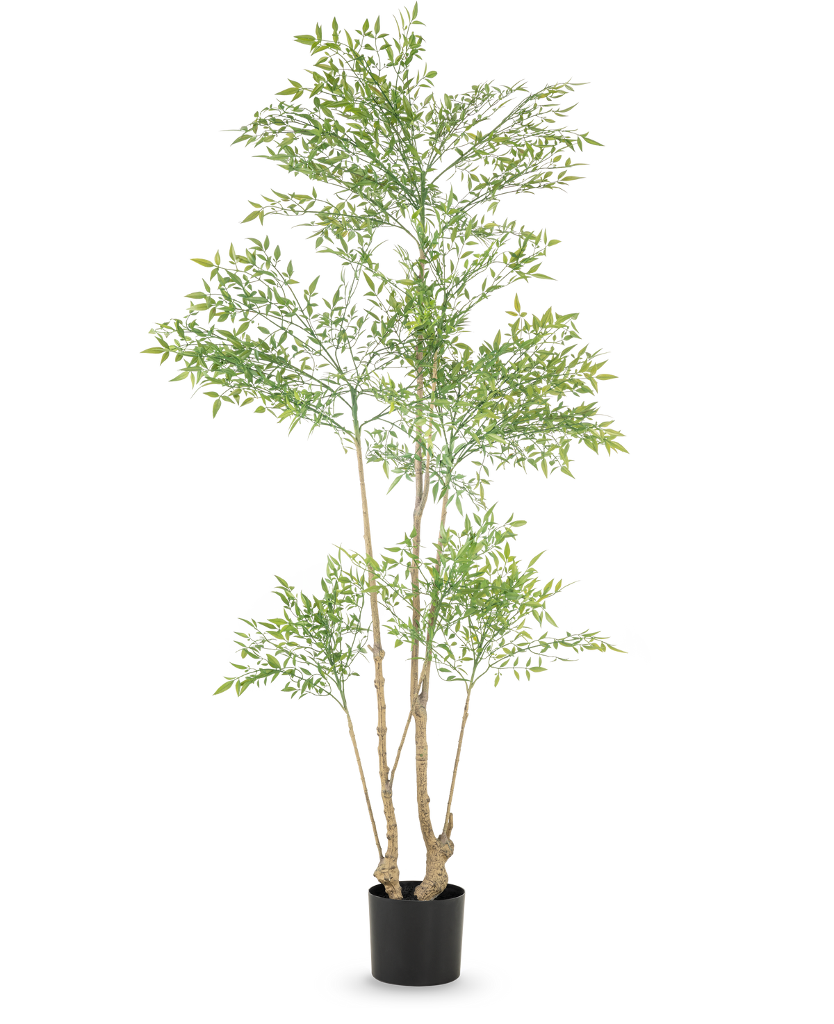 Den konstgjorda växten Ruscus 180 cm är en hög konstgjord växt med flera smala stammar och rikligt med små gröna blad, utställd i en enkel svart kruka mot en vit bakgrund.
