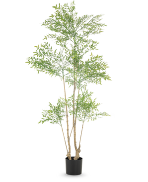 Den konstgjorda växten Ruscus 180 cm är en hög konstgjord växt med flera smala stammar och rikligt med små gröna blad, utställd i en enkel svart kruka mot en vit bakgrund.