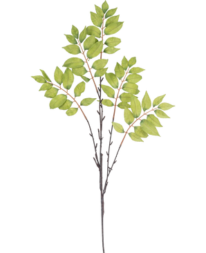 Akvarellillustration av konstgjord ormbunke grenad 83 cm grön, med en smal brun gren med tre stjälkar och klasar av livfulla gröna löv på en vit bakgrund.