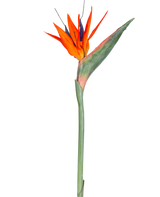 Den konstgjorda blomman Strelitzia 86 cm röd/lila har livfulla röda och lila kronblad på en lång grön stjälk, presenterad som en enkel, underhållsfri konstgjord blomma isolerad mot en vit bakgrund.