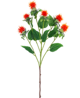 Den konstgjorda blomma safflor 79 cm orange har en enda stjälk med flera grenar, var och en med striga orangeröda och gula blommor med gröna blad, mot en vit bakgrund.