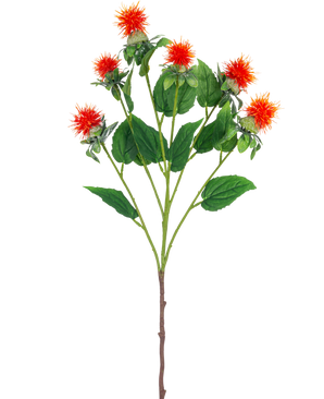 Den konstgjorda blomma safflor 79 cm orange har en enda stjälk med flera grenar, var och en med striga orangeröda och gula blommor med gröna blad, mot en vit bakgrund.