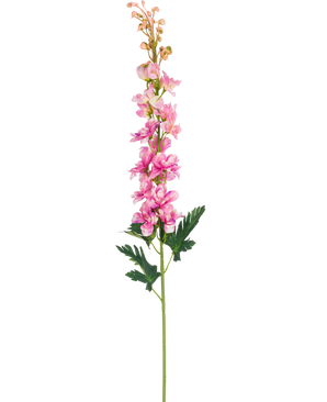 En enda konstgjord blomma Delphinium 79 cm rosa blomma med gröna, djupt flikiga blad, isolerad på en vit bakgrund.