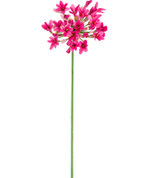 Den konstgjorda blomman Agapanthus 77 cm rosa har en enda grön stjälk med flera klasar av ljust rosa blommor, var och en med flera kronblad, mot en vanlig vit bakgrund.