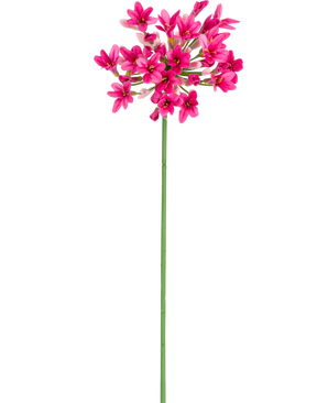 Den konstgjorda blomman Agapanthus 77 cm rosa har en enda grön stjälk med flera klasar av ljust rosa blommor, var och en med flera kronblad, mot en vanlig vit bakgrund.