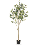 Det konstgjorda olivträdet 180 cm har flera smala grenar och gröna blad i en enkel svart kruka, mot en vanlig vit bakgrund - en elegant dekorativ accent för alla rum.