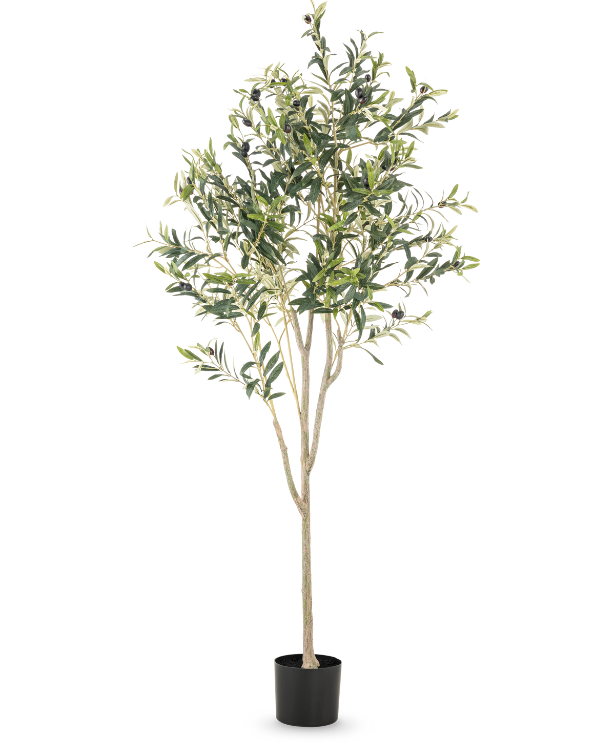 Det konstgjorda olivträdet 180 cm har flera smala grenar och gröna blad i en enkel svart kruka, mot en vanlig vit bakgrund - en elegant dekorativ accent för alla rum.