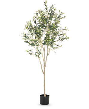 Det konstgjorda olivträdet 180 cm har flera smala grenar och gröna blad i en enkel svart kruka, mot en vanlig vit bakgrund - en elegant dekorativ accent för alla rum.