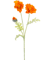 En botanisk illustration av konstgjorda blomvallmo 73 cm orange visar två öppna orange blommor och en sluten knopp på långa gröna stjälkar med ljusgröna, djupt flikiga blad.
