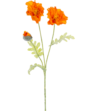 En botanisk illustration av konstgjorda blomvallmo 73 cm orange visar två öppna orange blommor och en sluten knopp på långa gröna stjälkar med ljusgröna, djupt flikiga blad.