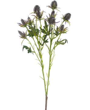 Artificiell grentistel 68 cm blå har en enda stjälk med flera taggiga blå tistelblommor och tandade gröna blad, isolerade på en vit bakgrund.