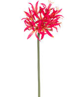 Den konstgjorda blomman Nerine 70 cm fuchsia har en lång grön stjälk med ett stort kluster av fuchsia på toppen, striga kronblad som sticker ut ljust mot en vanlig vit bakgrund.