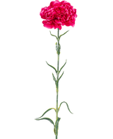 Konstgjorda blomsternejlika 69 cm hårdrosa har en enda ljusrosa nejlika med volanger i kronbladen, en lång grön stjälk och smala blad mot en vanlig vit bakgrund.