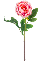 Den konstgjorda blompionen 61 cm rosa har en enda rosa pion med frodiga gröna blad och en lång brun stjälk, isolerad på en vit bakgrund.