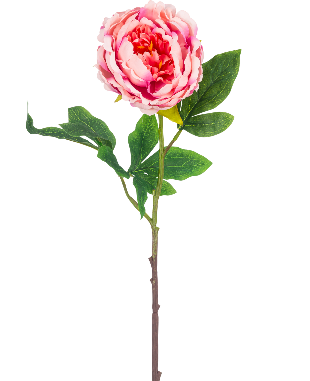 Den konstgjorda blompionen 61 cm rosa har en enda rosa pion med frodiga gröna blad och en lång brun stjälk, isolerad på en vit bakgrund.