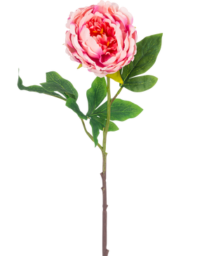 Den konstgjorda blompionen 61 cm rosa har en enda rosa pion med frodiga gröna blad och en lång brun stjälk, isolerad på en vit bakgrund.