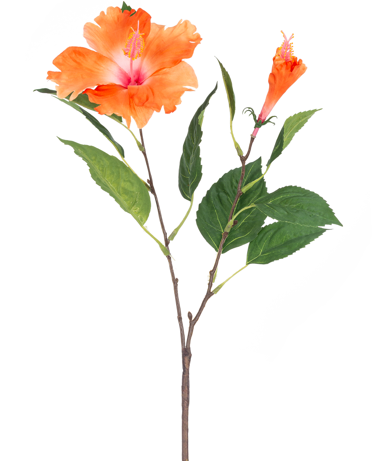 Den konstgjorda blomman Hibiscus 64 cm orange har en enda stjälk med gröna blad och två orange blommor, en fullblommande och en i knoppform, på vit bakgrund.