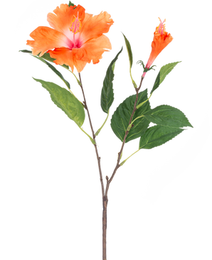 Den konstgjorda blomman Hibiscus 64 cm orange har en enda stjälk med gröna blad och två orange blommor, en fullblommande och en i knoppform, på vit bakgrund.