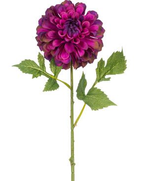 En enda konstgjord blomma Dahlia 50 cm lila med livfulla lila lager kronblad och gröna blad, isolerad på en vit bakgrund.