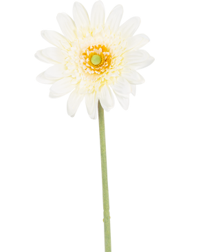 Den konstgjorda blomman Gerbera 53 cm vit har en enda vit, tusensköna-liknande blomma med skiktade kronblad, ett gulgrönt hjärta och en lång grön stjälk mot en vit bakgrund.