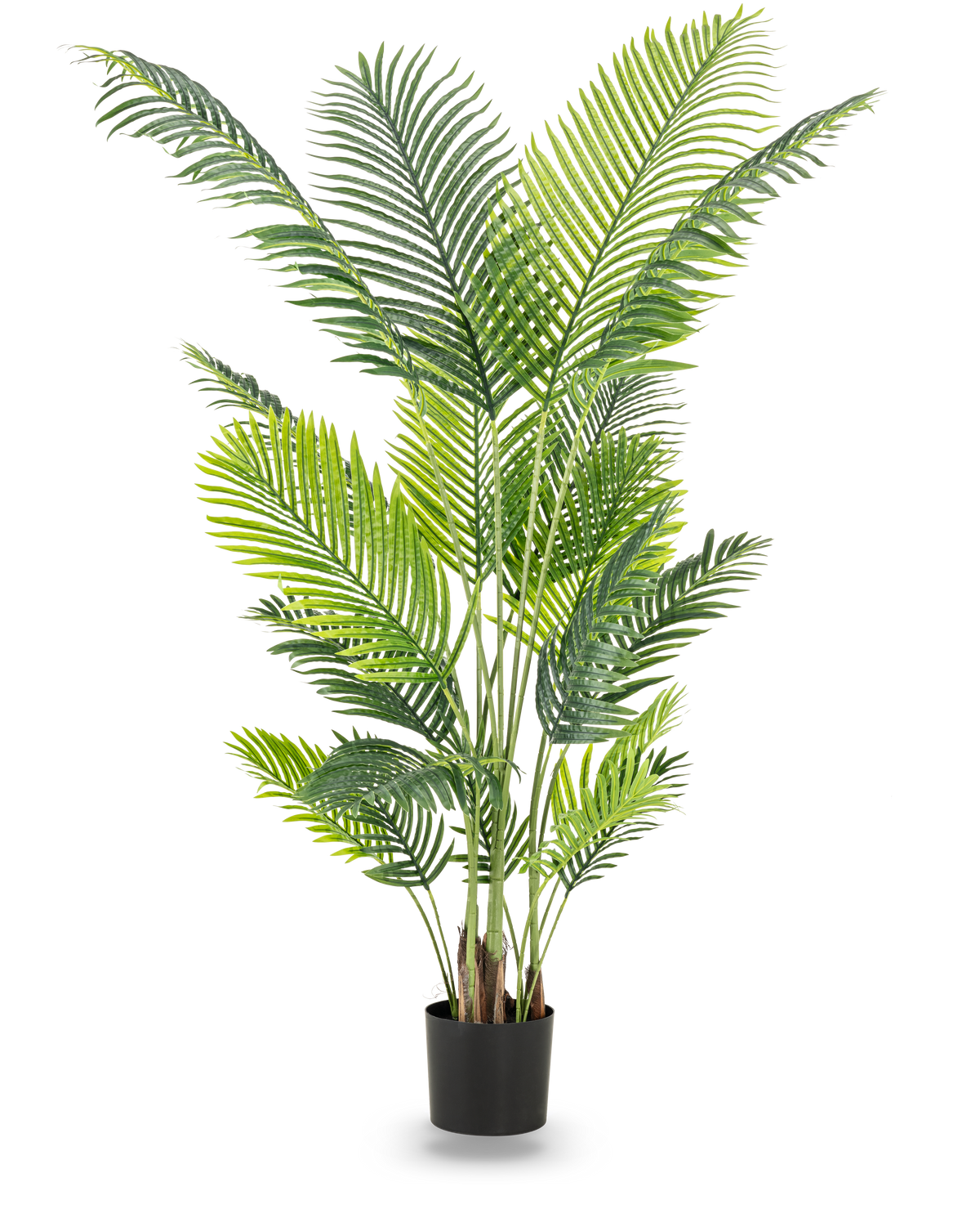 Den konstgjorda växten Phoenix 180 cm är en hög konstgjord växt med frodiga gröna blad i en svart kruka som tillför en tropisk atmosfär till alla rum. Avbildad mot en vanlig vit bakgrund.