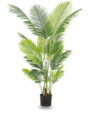 Den konstgjorda växten Phoenix 180 cm är en hög konstgjord växt med frodiga gröna blad i en svart kruka som tillför en tropisk atmosfär till alla rum. Avbildad mot en vanlig vit bakgrund.