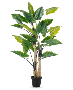 Den konstgjorda växten Alocasia 240 cm är en hög konstgjord växt med stora gröna blad och flera stjälkar i en svart kruka, mot en vanlig vit bakgrund.